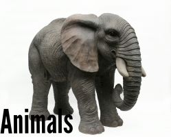 Animals.jpg